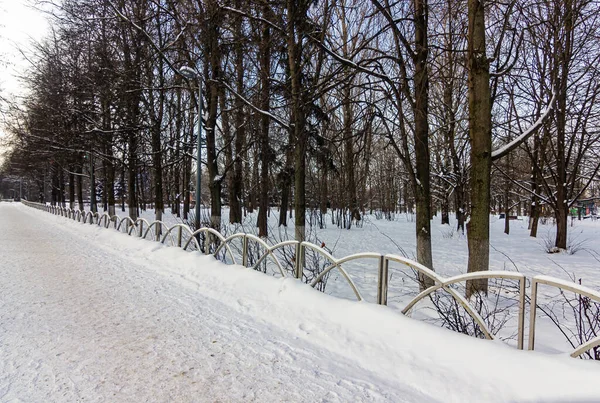 Paisagem Inverno Dia Gelado — Fotografia de Stock