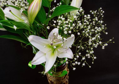 Siyah arka planda vazoda beyaz zambak.