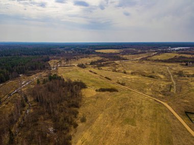 Rusya 'nın ormanları ve göl manzaralı yüksek bahar manzarası