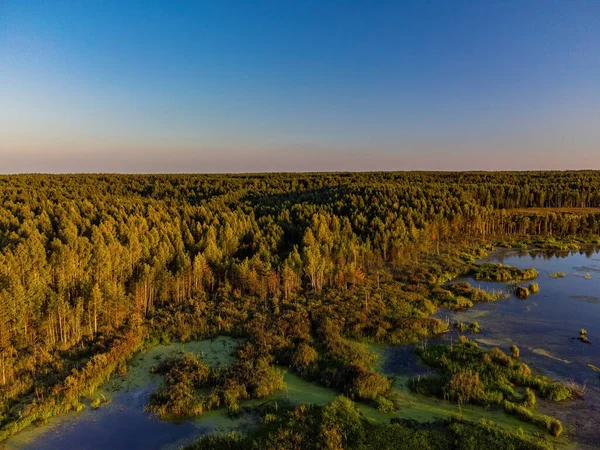 Summer landscape before sunset with a bird's-eye view of the forest.
