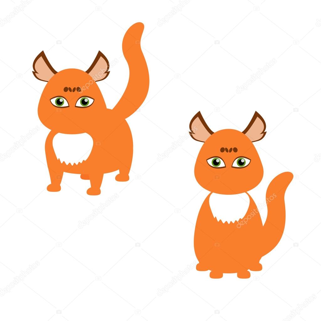 ginger cat with green eyes on white background