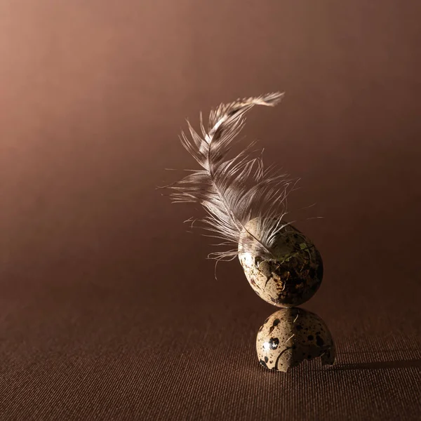 Wielkanocne Przepiórcze Skorupki Jaj Ułożone Jeden Drugim Ptasim Piórem Brązowym Zdjęcia Stockowe bez tantiem