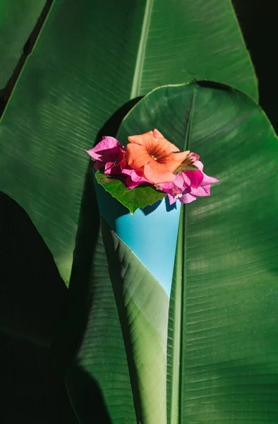 Creative Arrangement Made Natural Summer Leaves Paper Cone Orange Pink — Stock Photo, Image