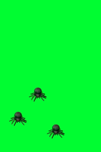 Aranhas Contra Fundo Verde Vívido Zumbi Conceito Halloween Assustador Mínimo — Fotografia de Stock