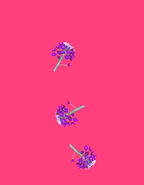 Creative Pattern Made Falling Purple Wildflowers Vibrant Red Background Minimal — Stock Photo, Image