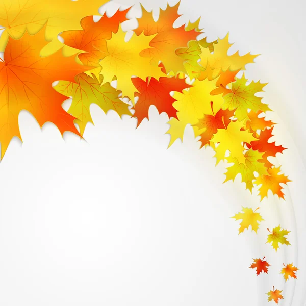 배경은 잎 과 함께 가을이다. 벡터 자연 배경. — 스톡 벡터
