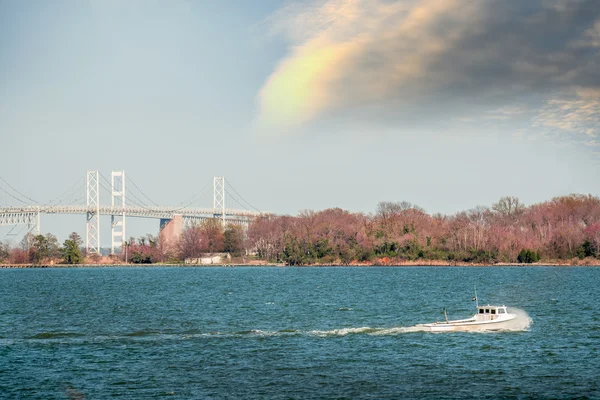 Chesapeake bay Bay Bridge yakınındaki Maryland waterman teknede