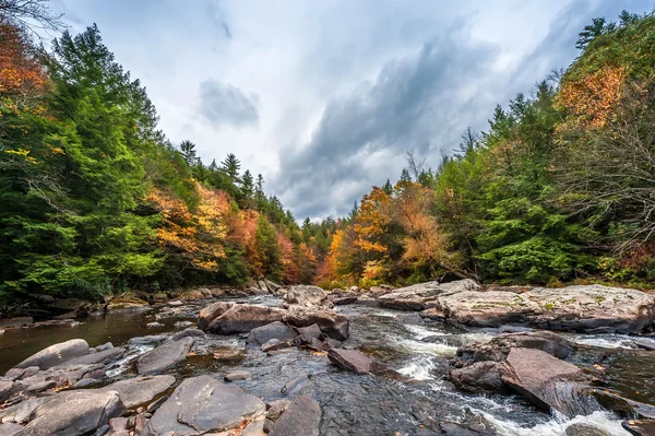 แม่น้ําภูเขา Appalachian ในฤดูใบไม้ร่วง — ภาพถ่ายสต็อก