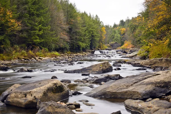 Autumn in Swallow Falls — Stock Photo, Image