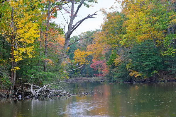 Outono em Maryland — Fotografia de Stock