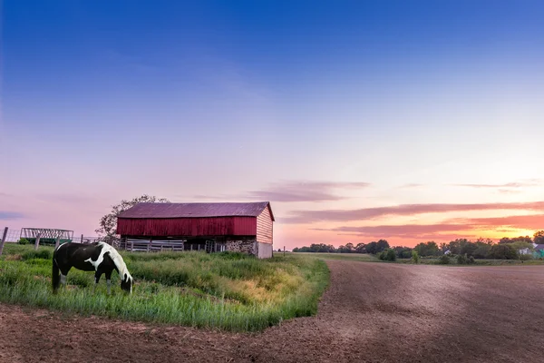 Märchenzauber — Stockfoto