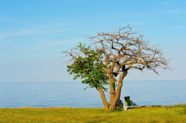 İnsanlar Chesapeake Körfezi Maryland sahilde rahatlatıcı