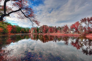 Sonbahar Maryland gölette High Dynamic Range peyzaj