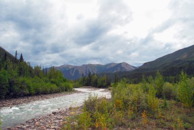 Yaban Alaska dağ dere