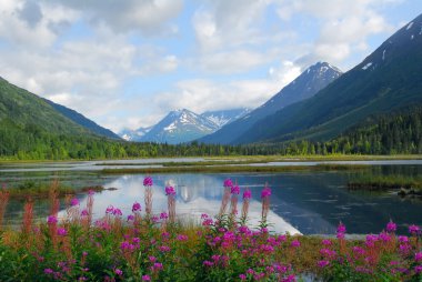 Alaska dağ ve göl manzara