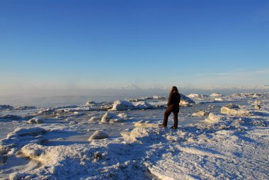 Kış Alaska'da Cook giriş