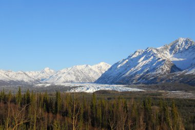 Wrangell dağların buzul Alaska