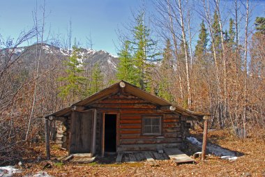 Sonbahar Alaska'da günlük kabin