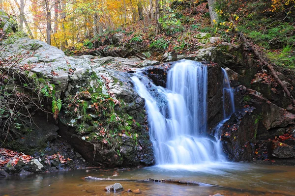 Wild waterfall — Stock Photo, Image