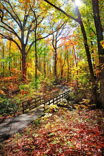 Uma pitoresca ponte a pé durante o outono em Maryland — Fotografia de Stock