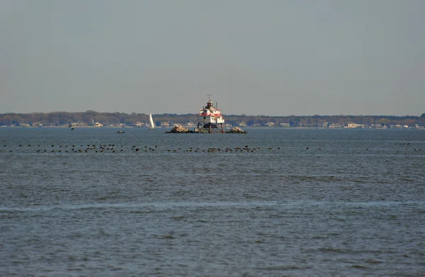 Thomas noktası Shoal deniz feneri