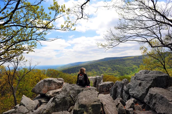 Cheminée Rock, Montagnes Appalaches Maryland — Photo