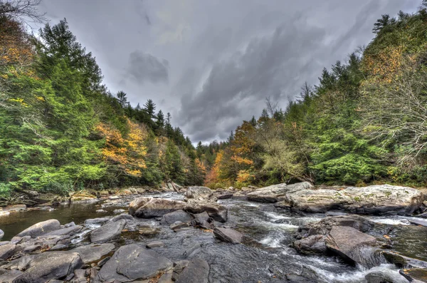 Bernaches du Canada sur un étang de Marylamd — Photo