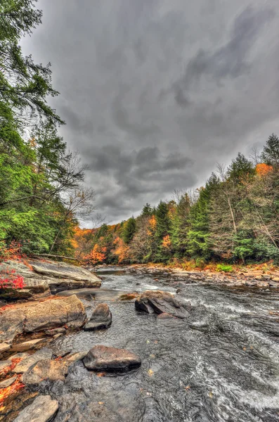 Wild Appalachian Mountain River — Stock Photo, Image