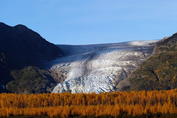 Осень на выходе ледник Сьюард Аляска — стоковое фото