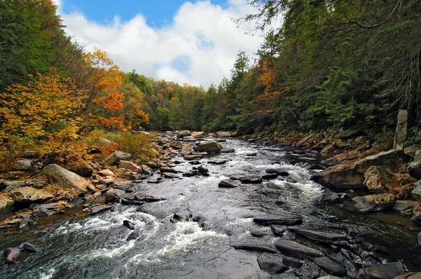 Rivière en pleine nature en automne — Photo