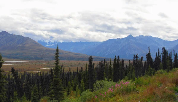 Divoké Aljašského horská krajina — Stock fotografie