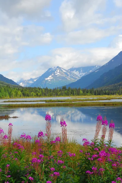 Alaskan Berg & Lake landschap — Stockfoto