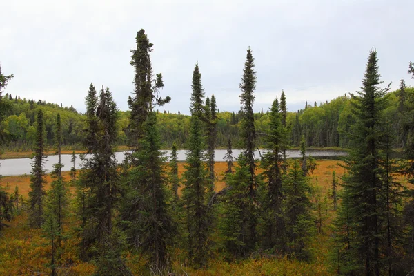 Hidden Alaskan Lake in Autumn — Stock Photo, Image