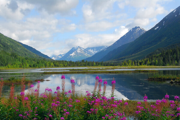 Alaskan mountain and lake landscape