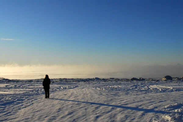 Person with shadow on frozen Alaska landscape