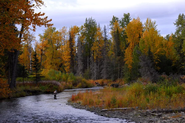Kıyı şeridi ts Cook giriş Alaska