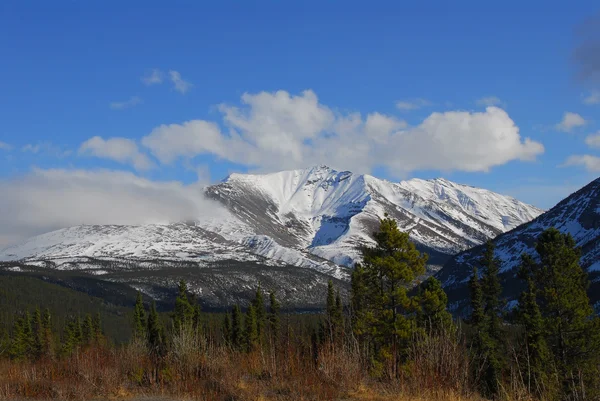 Picturesque Mountain landscape of British Columbia — Stock Photo, Image