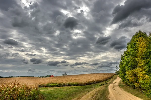 Maryland Country Road hösten vid skymningen — Stockfoto