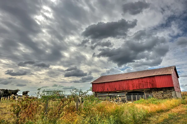 Red Barn w okolicy podczas jesieni — Zdjęcie stockowe