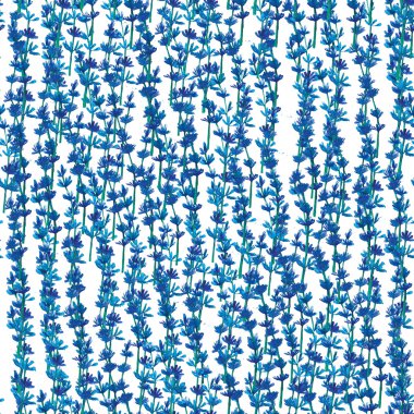 Karahindiba ile sulu boya Dikişsiz desen. Çiçek arka plan.