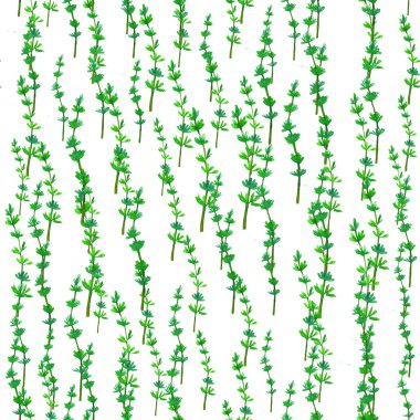 Karahindiba ile sulu boya Dikişsiz desen. Çiçek arka plan.