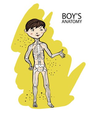 Çocuklar için çizgi film anatomisi. Sevimli çocuk ve onun iskelet