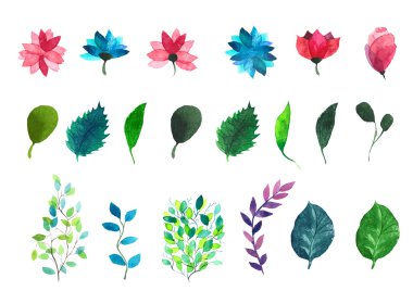 Çiçekler ve yapraklar. Suluboya resim.