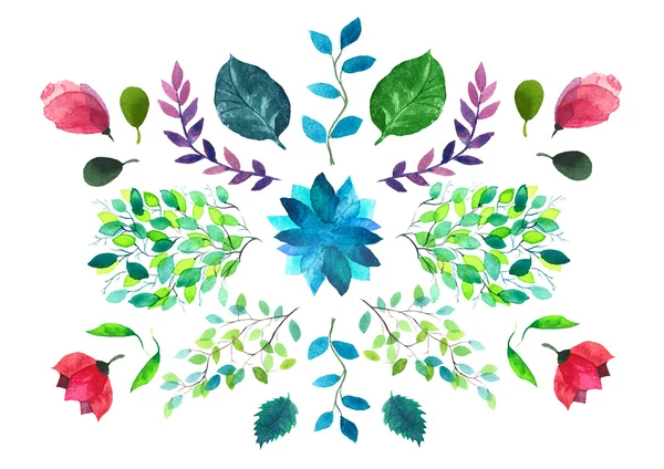 Flowers and leaves. Watercolor illustration. — Stock Photo, Image