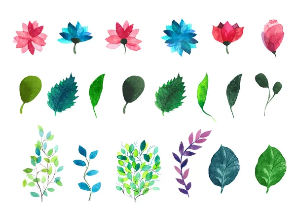 Flowers and leaves. Watercolor illustration. — Stock Photo, Image