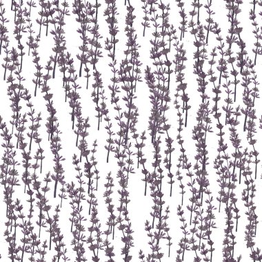 Karahindiba ile sulu boya Dikişsiz desen. Çiçek arka plan.