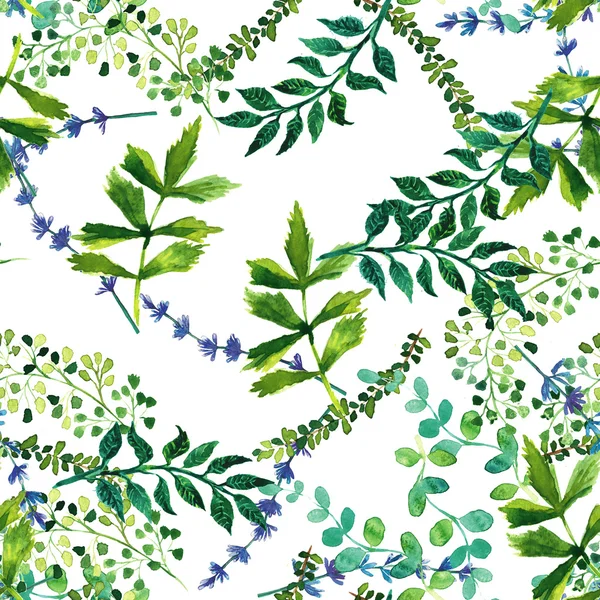 Watercolor seamless pattern with herbs and leaves. — Stock Photo, Image