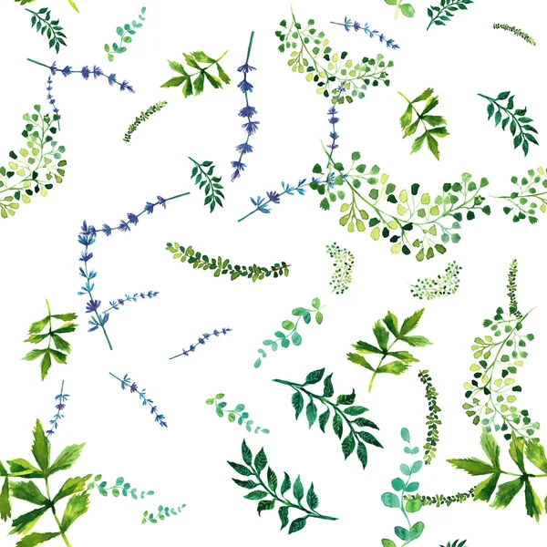 Watercolor seamless pattern with herbs and leaves. — Stock Photo, Image