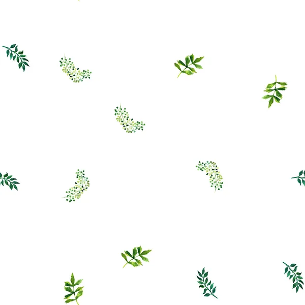 Akwarela bezszwowe wzór z ziół i liści. — Zdjęcie stockowe