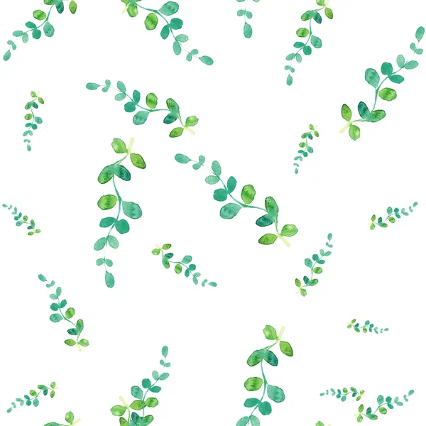 Akvarell varrat nélküli mintát, gyógynövények és a levelek. — Stock Fotó